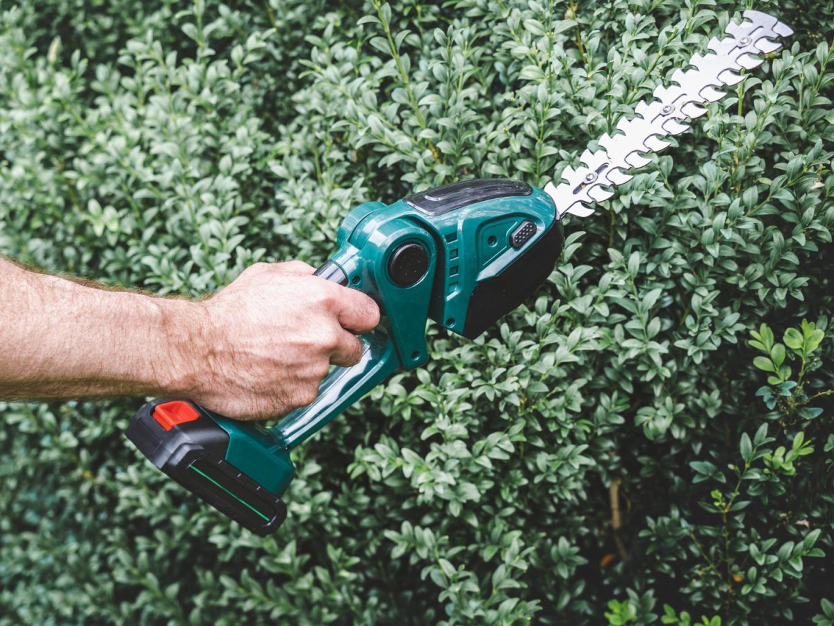 Homme utilisant un outil de jardinage afin d'entretenir sa haie.